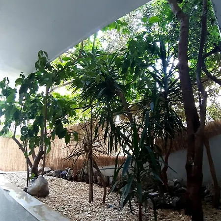 Apartments Duce * Duće