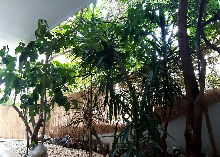 Apartments Duce * Duće