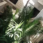 Apartments Duce * Duće